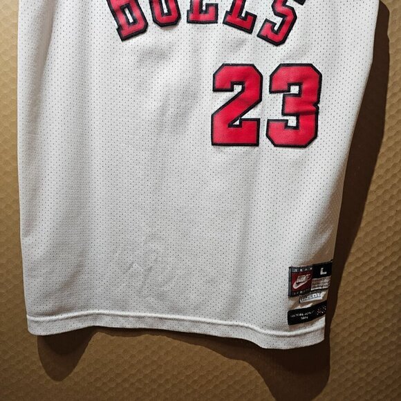 Michael Jordan #23 1984 Nike Team Sports Flight 8403 Chicago  Bulls NBA Jersey L - Picture 8 of 12